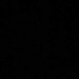 Meet your Posher, Kenny